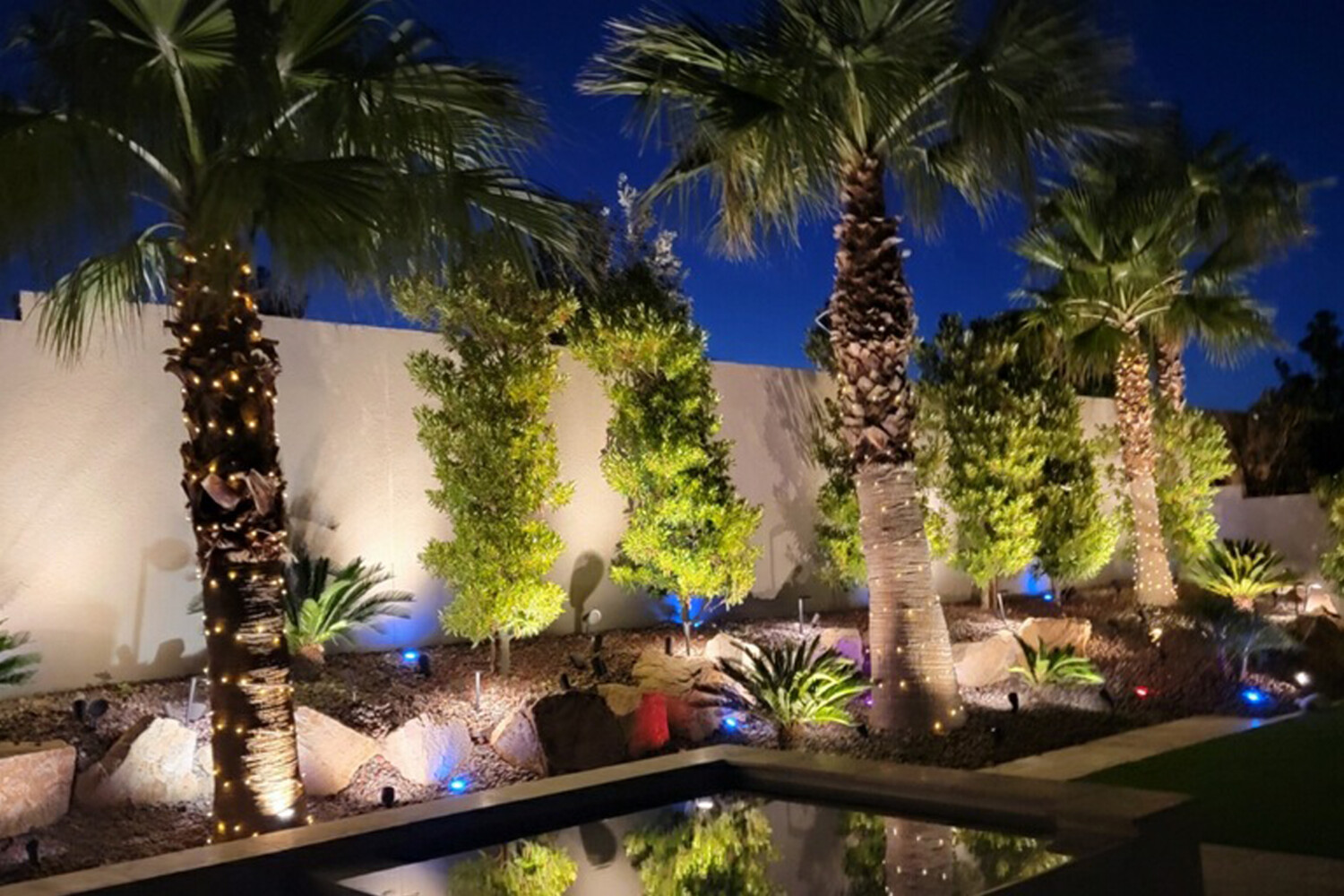 Desert landscaping with LED lights illuminating stone pathways and plants at night – Aqua Creations