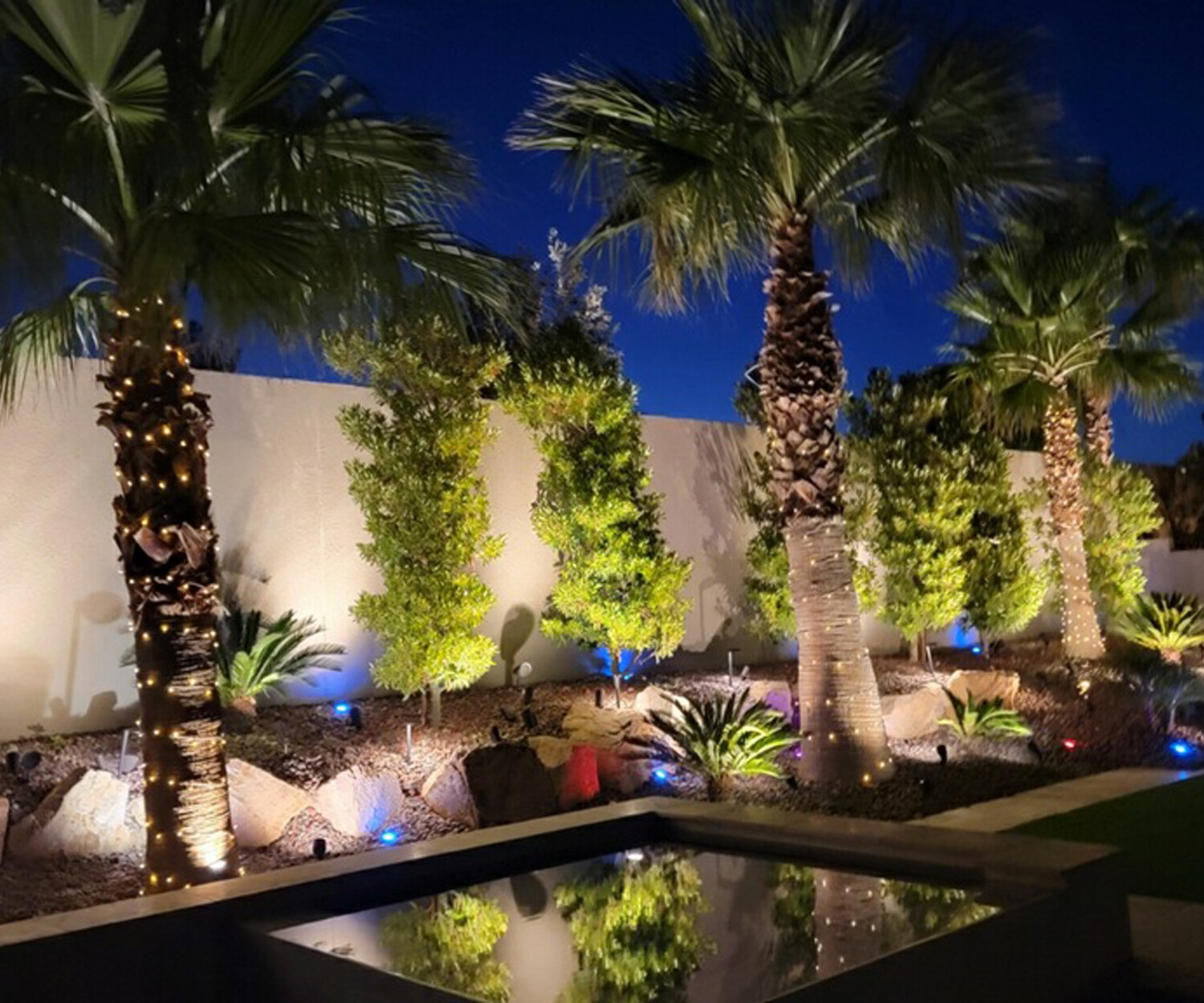 Desert landscaping with LED lights illuminating stone pathways and plants at night – Aqua Creations